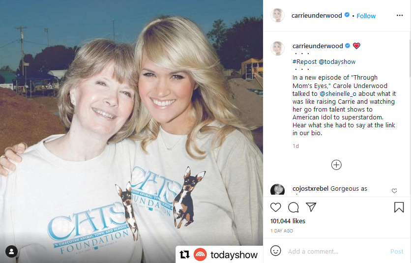 [Credit: Carrie Underwood/Instagram]