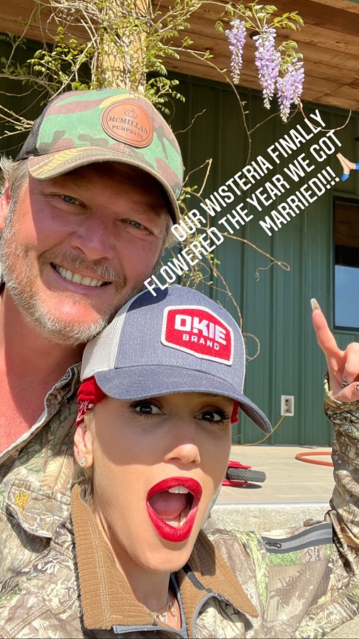 Gwen Stefani And Blake Shelton's Wisteria Bloom [Credit: Gwen Stefani/Instagram Stories]