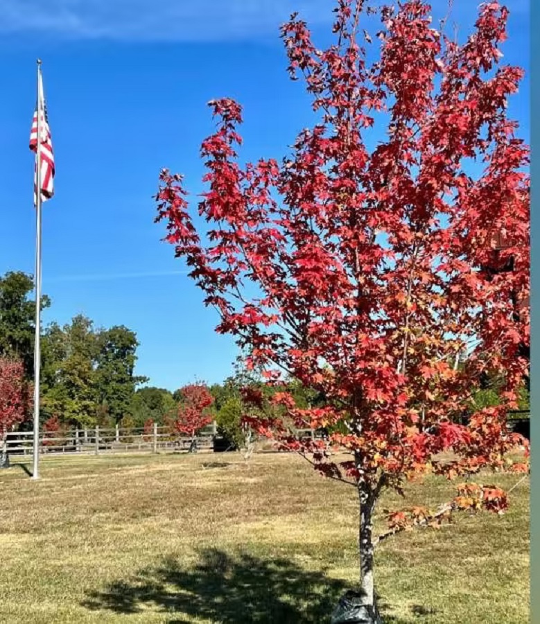 Carrie Underwood Is Ready For Fall [Carrie Underwood | Instagram]