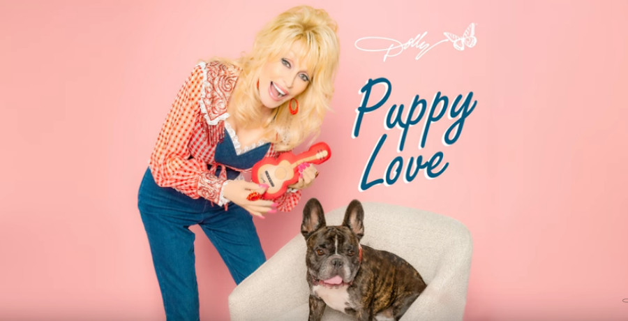 A woman playing a fake guitar for her dog. The word 'Puppy Love" are above the dog